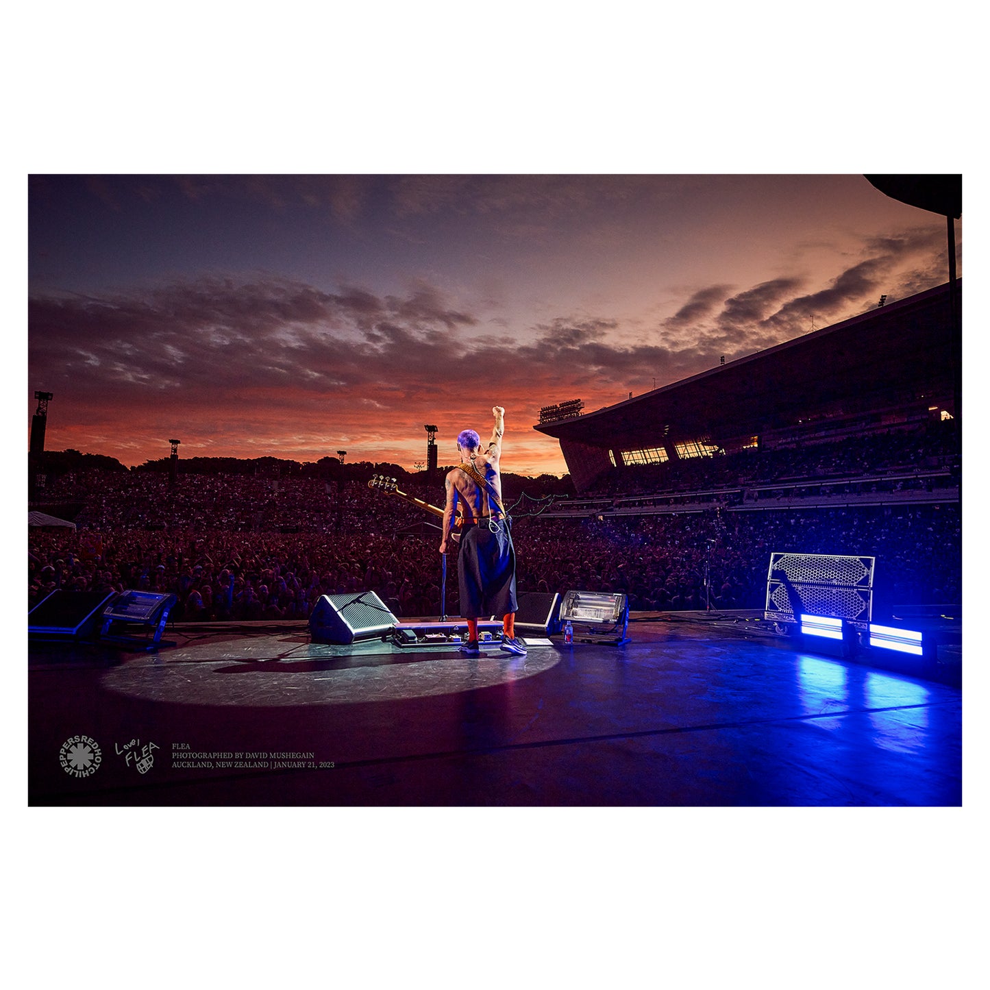 David Mushegain Photo Poster - Flea