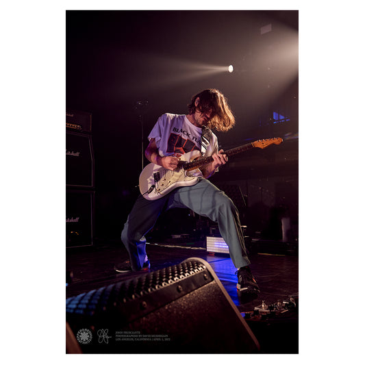 David Mushegain Photo Poster - John Frusciante